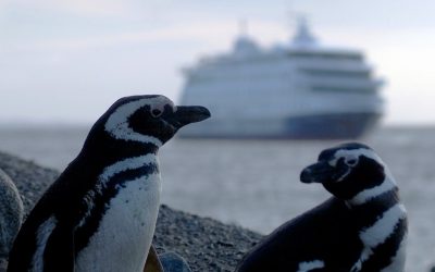 CRUZEIRO AUSTRALIS – PUNTA ARENAS/USHUAIA – 5 dias