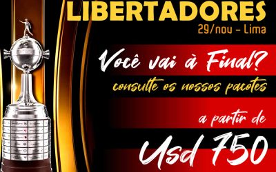 FINAL COPA LIBERTADORES 2025 – 29/nov – Lima