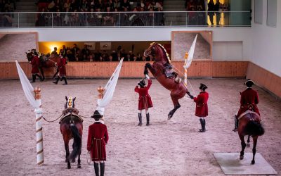 GRAN TOUR PORTUGAL – Cavalos & Vinhos – 10 dias